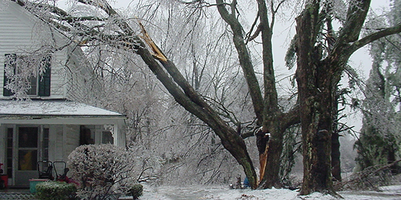 iced_tree_on_house